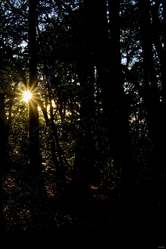 Kyoto - City Views From Shogunzuka Mound - SA701778.editted (1)